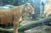Blog-Thema-Tiere-Zoo-Dresden-2012-120108-DSC_0158.jpg