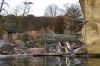 Blog-Thema-Tiere-Zoo-Dresden-2012-120108-DSC_0229.jpg